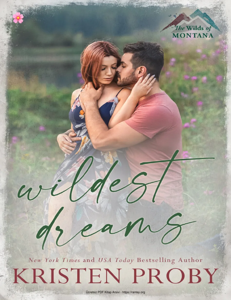 Wildest Dreams kapak görseli