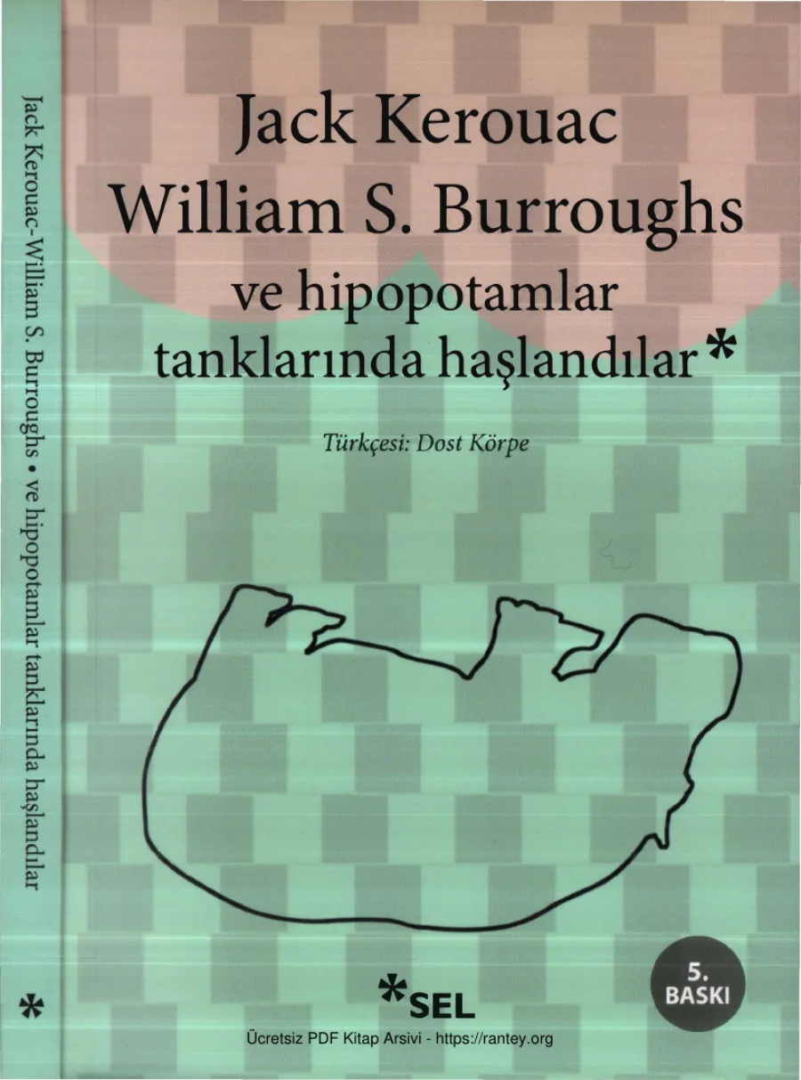 William S Burroughs Ve Hipopotamlar Tanklarında Haşlandılar kapak görseli