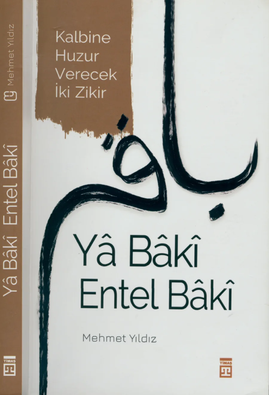 Yâ Bâkî Entel Bâkî kapak görseli