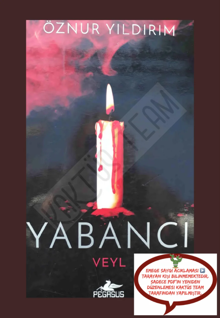 Yabancı 2: Veyl kapak görseli