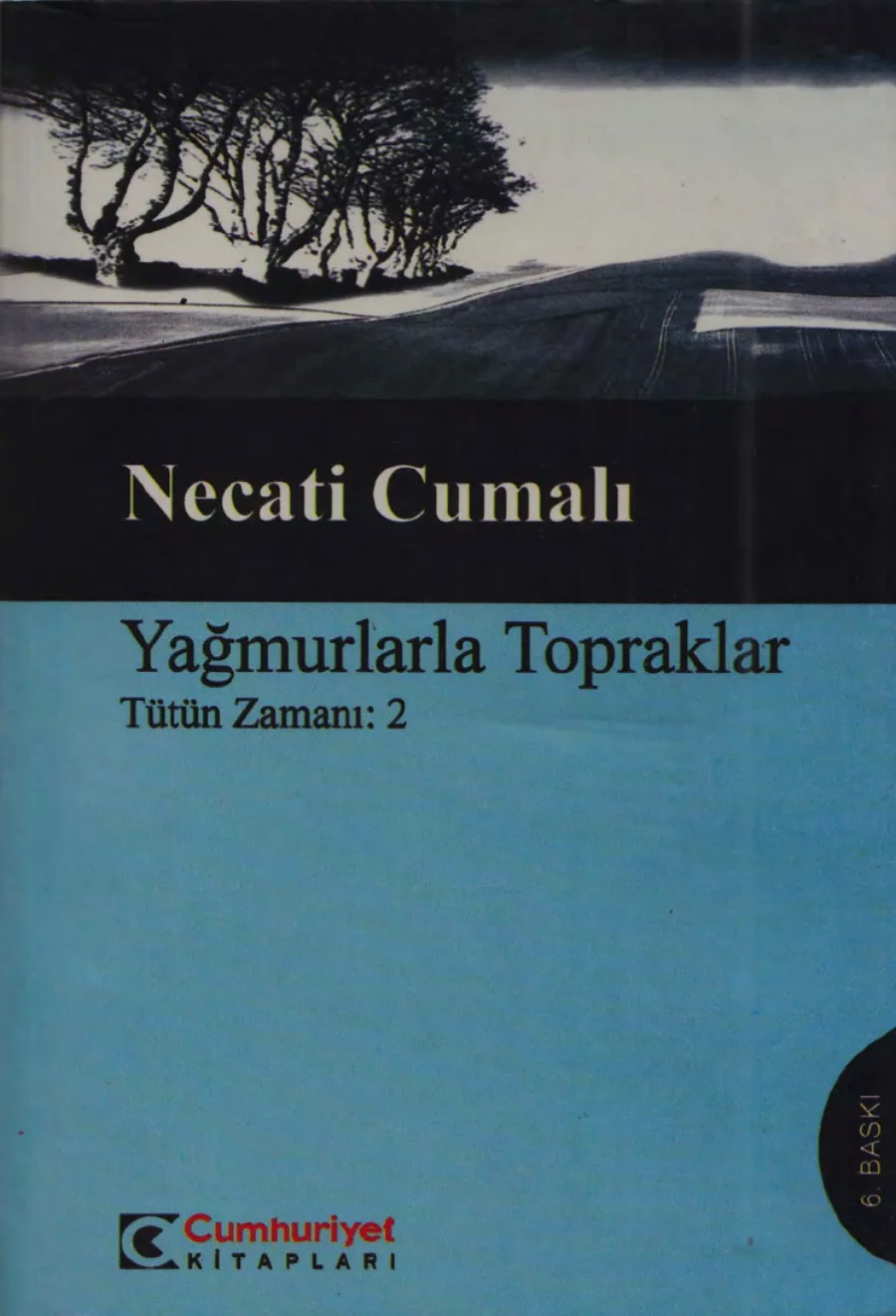 Yağmurlar ve Topraklar 2 Tütün Zamanı kapak görseli