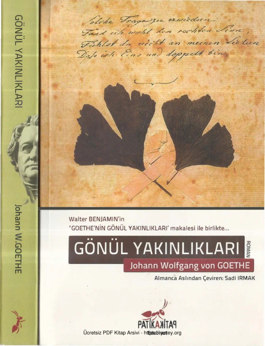 Yakınlıkları kapak görseli
