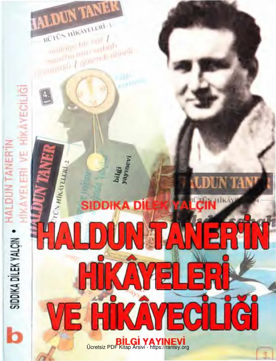 Yalçın Haldun Tanerin Hikayeleri ve Hikayeciliği Bilgi Yayınevi kapak görseli