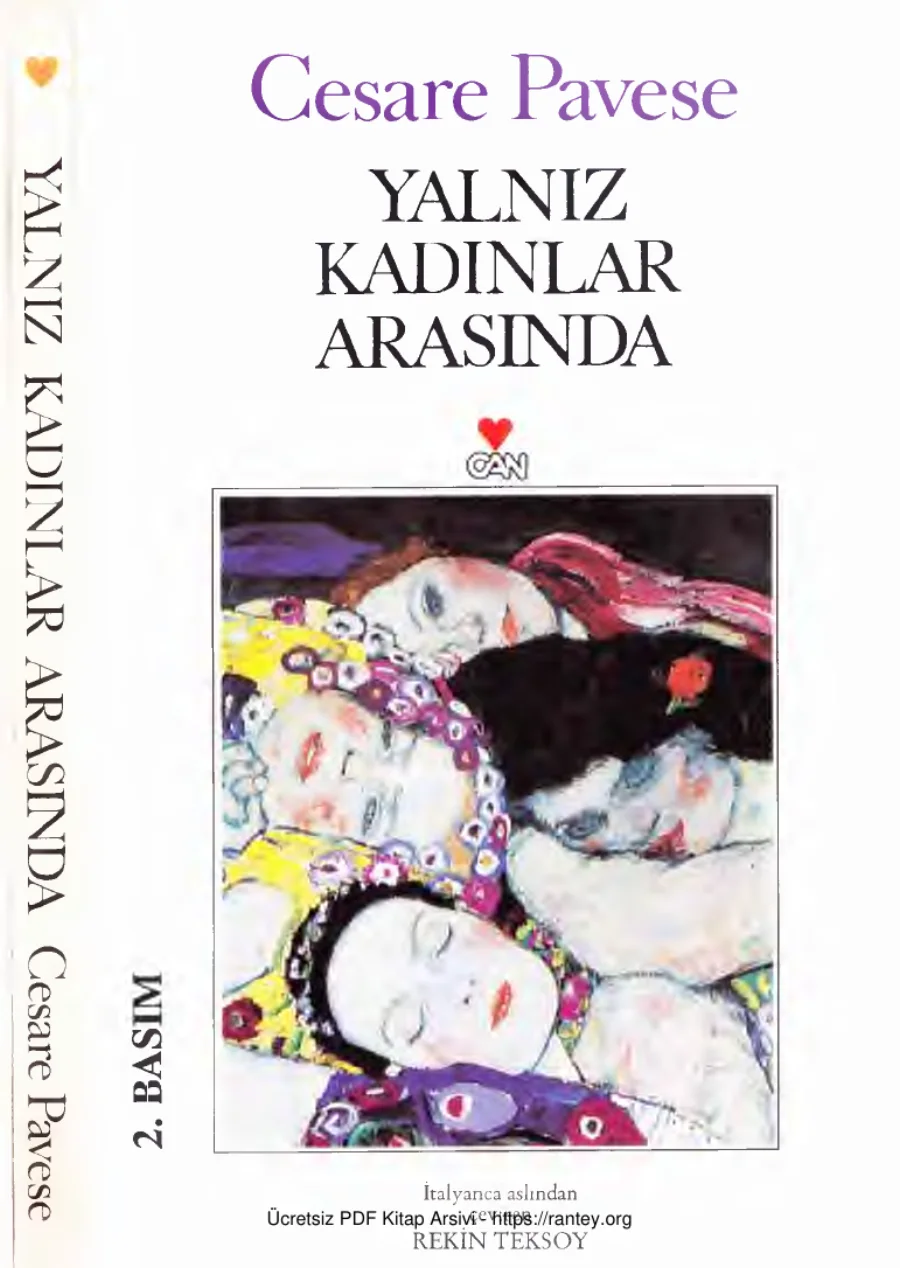 Yalnız Kadınlar Arasında kapak görseli