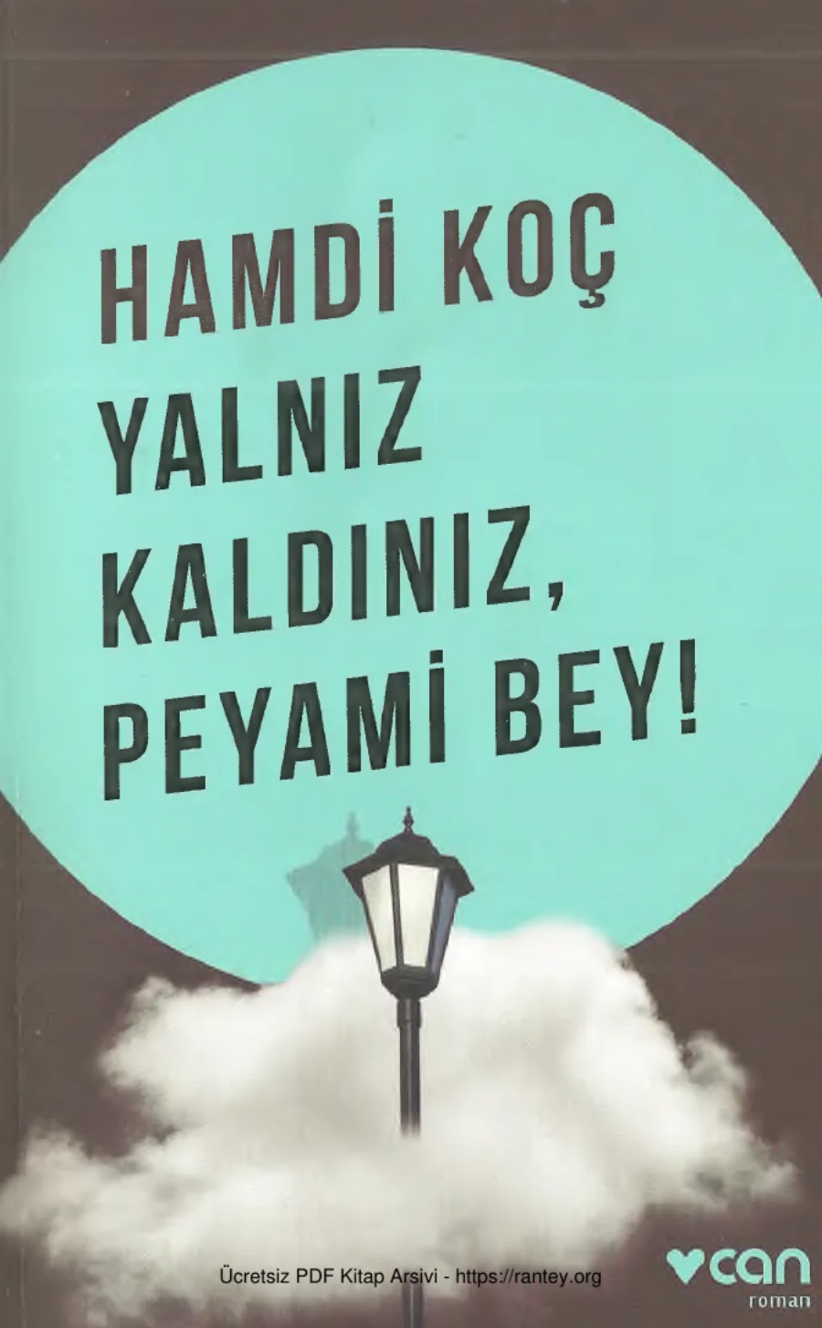 Yalnız Kaldınız Peyami Bey kapak görseli