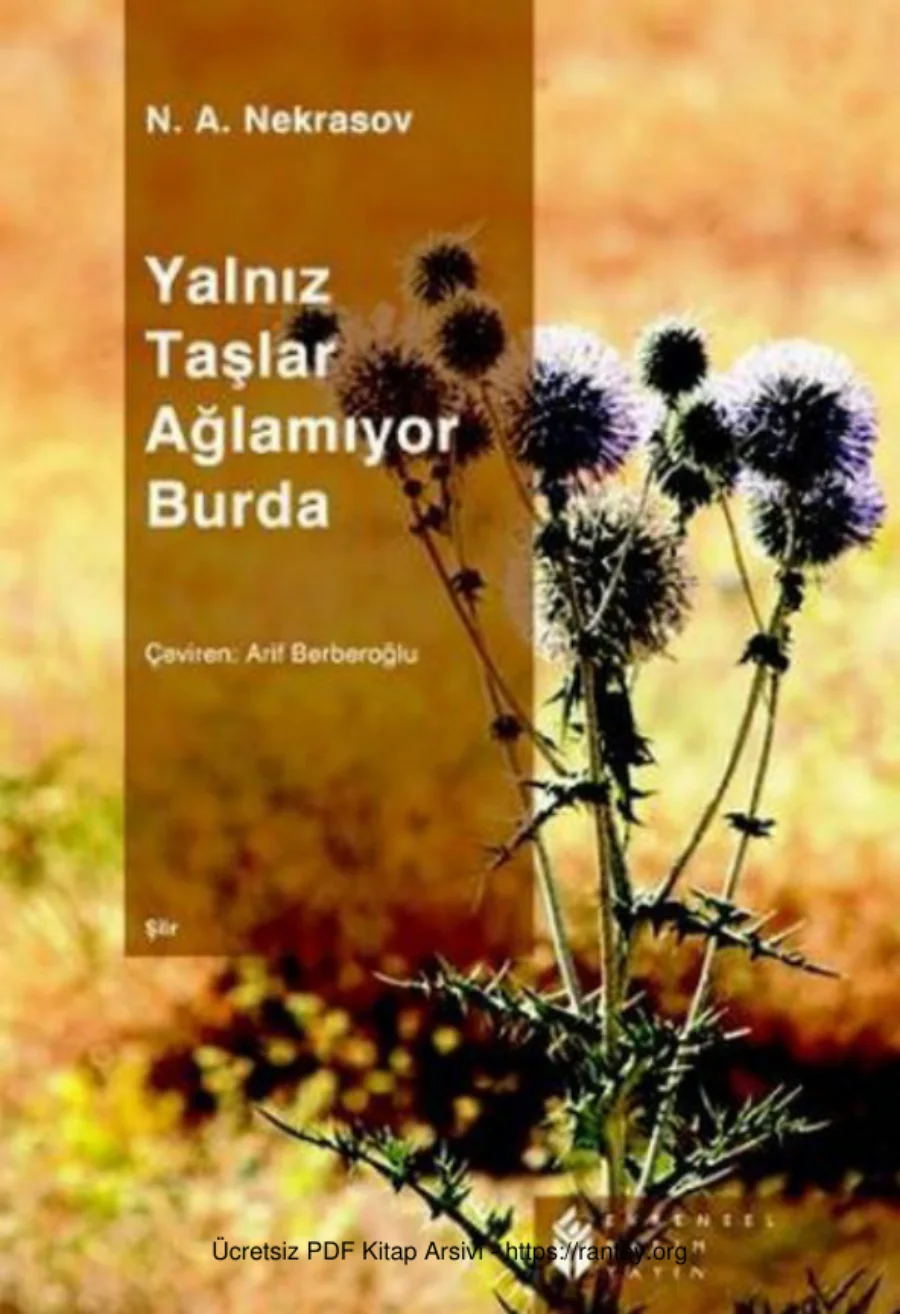 Yalnız Taşlar Ağlamıyor Burda kapak görseli