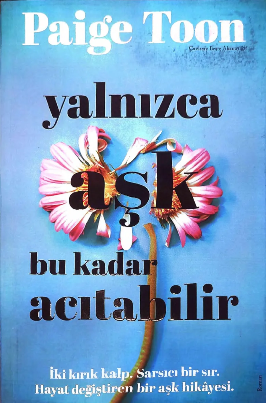 Yalnızca Aşk Bu Kadar Acıtabilir kapak görseli