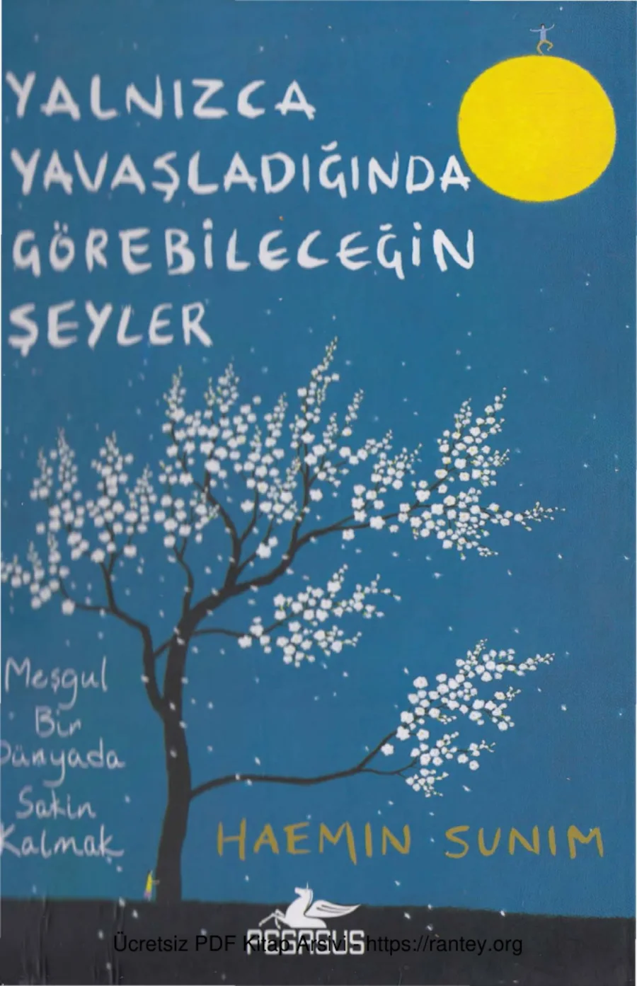 Yalnızca Yavaşladığında Görebileceğin Şeyler kapak görseli