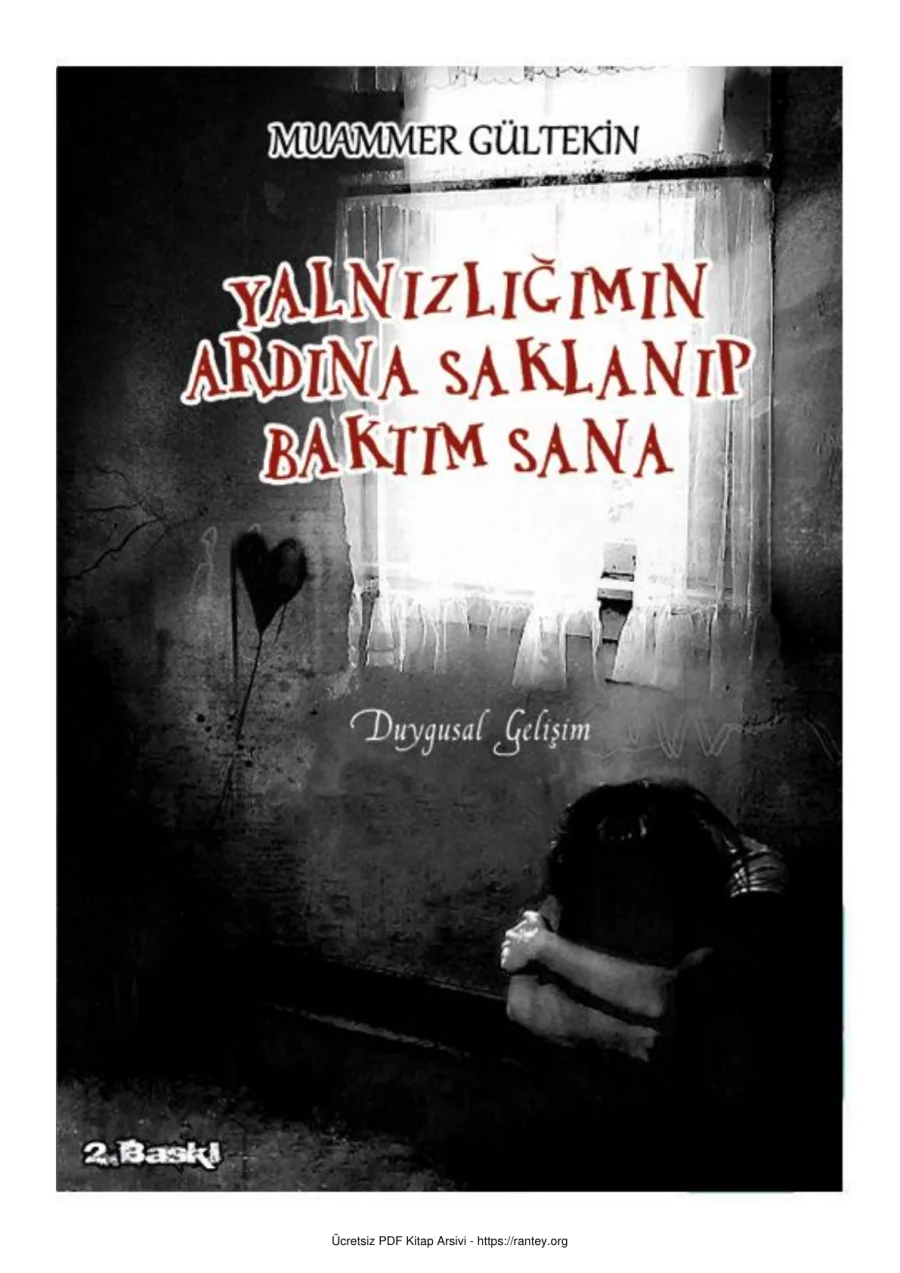 Yalnızlığımın Ardına Saklanıp Baktım Sana kapak görseli