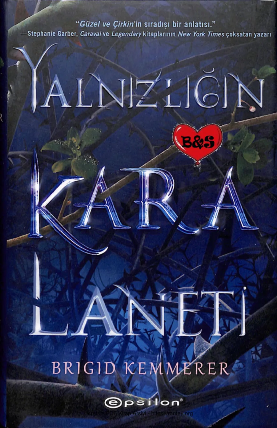 Yalnızlığın Kara Laneti kapak görseli