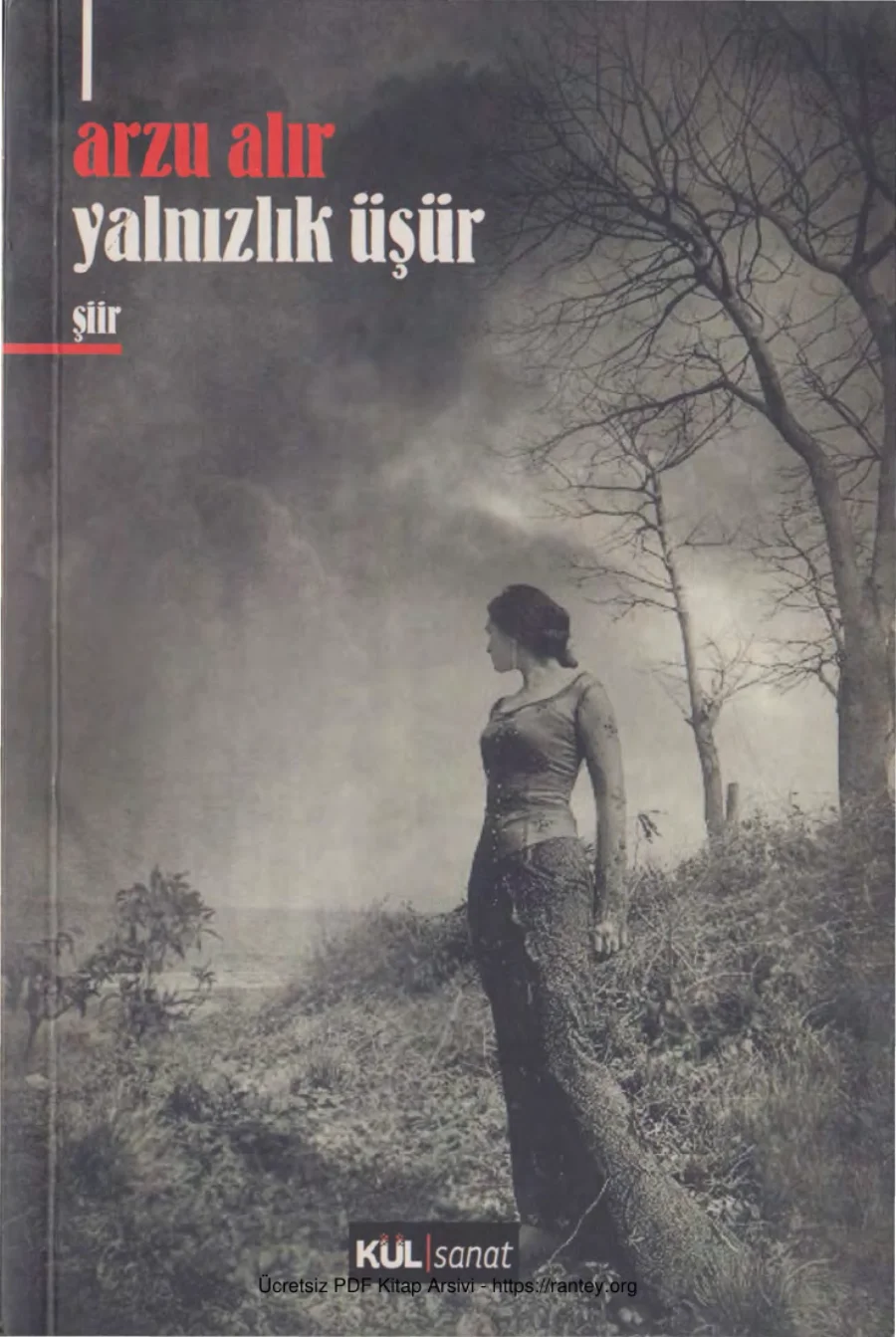 Yalnızlık Üşür kitap kapağı