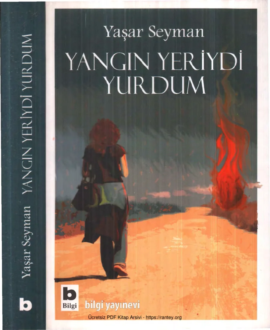 Yangın Yeriydi Yurdum kapak görseli