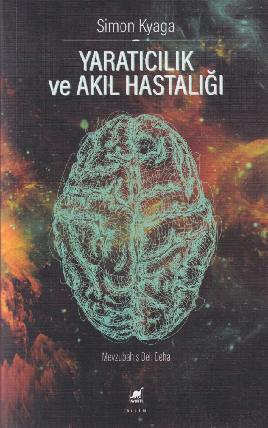 Yaratıcılık ve Akıl Hastalığı kapak görseli