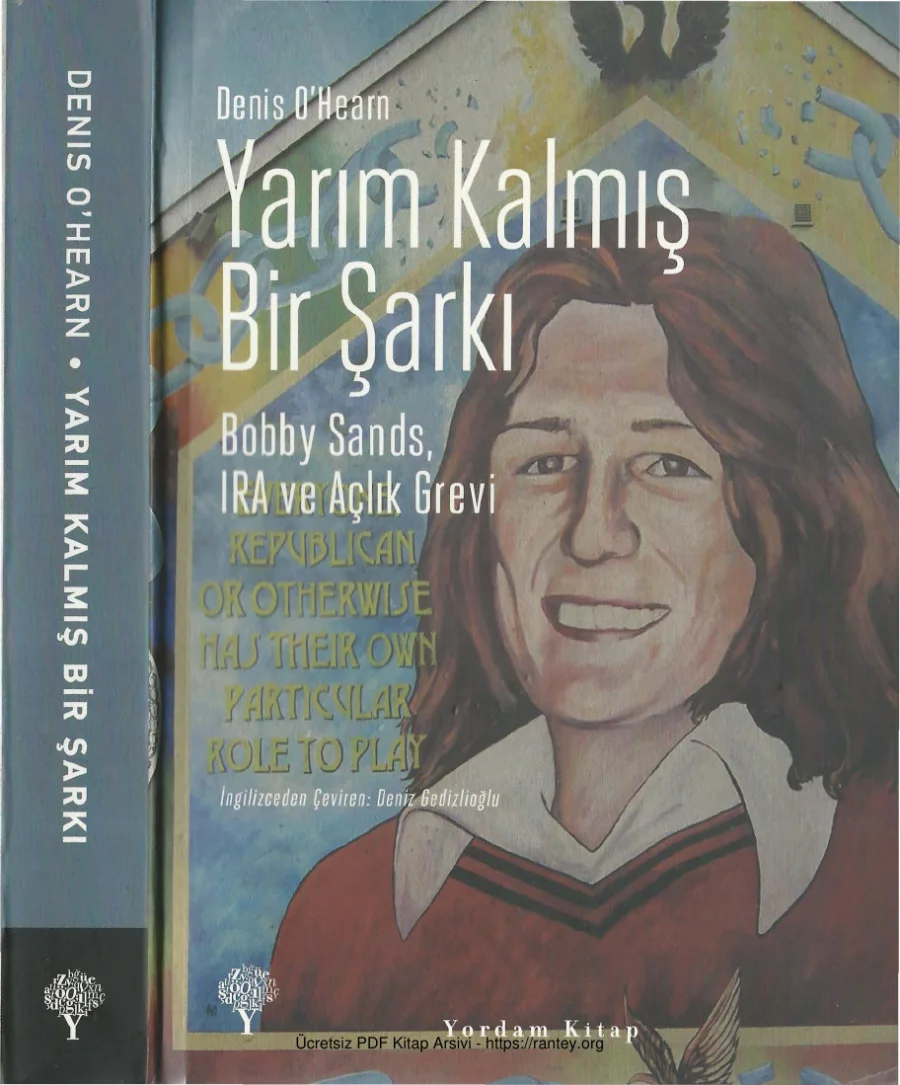 Yarım Kalmış Bir Şarkı kapak görseli