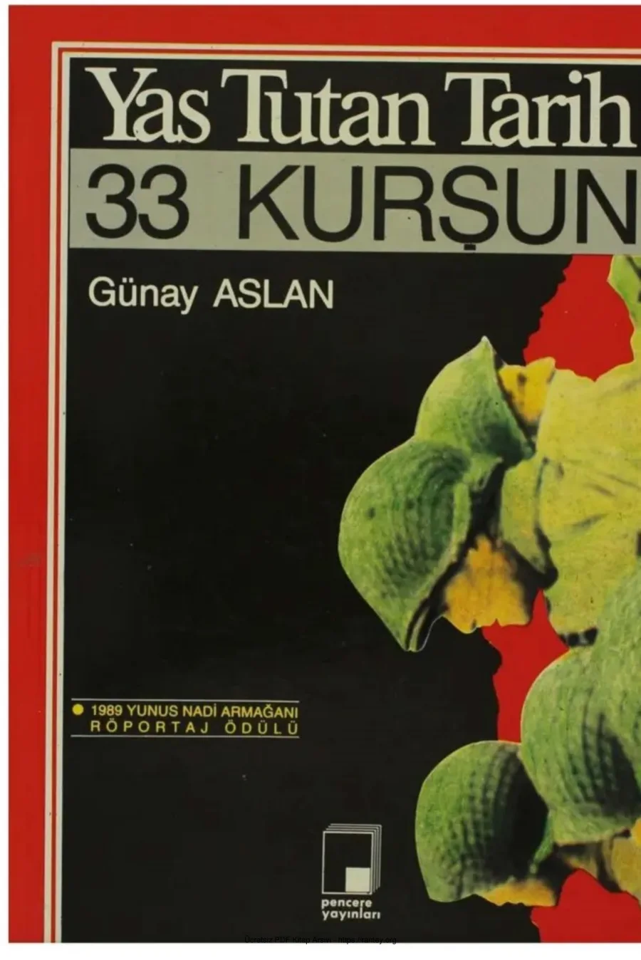 Yas Tutan Tarih 33 Kurşun kapak görseli