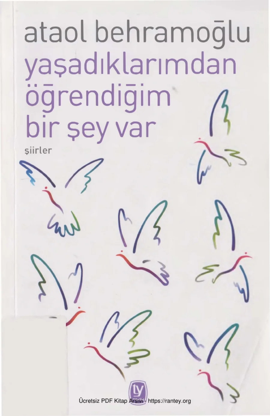 Yaşadıklarımdan Öğrendiğim Bir Şey Var kapak görseli