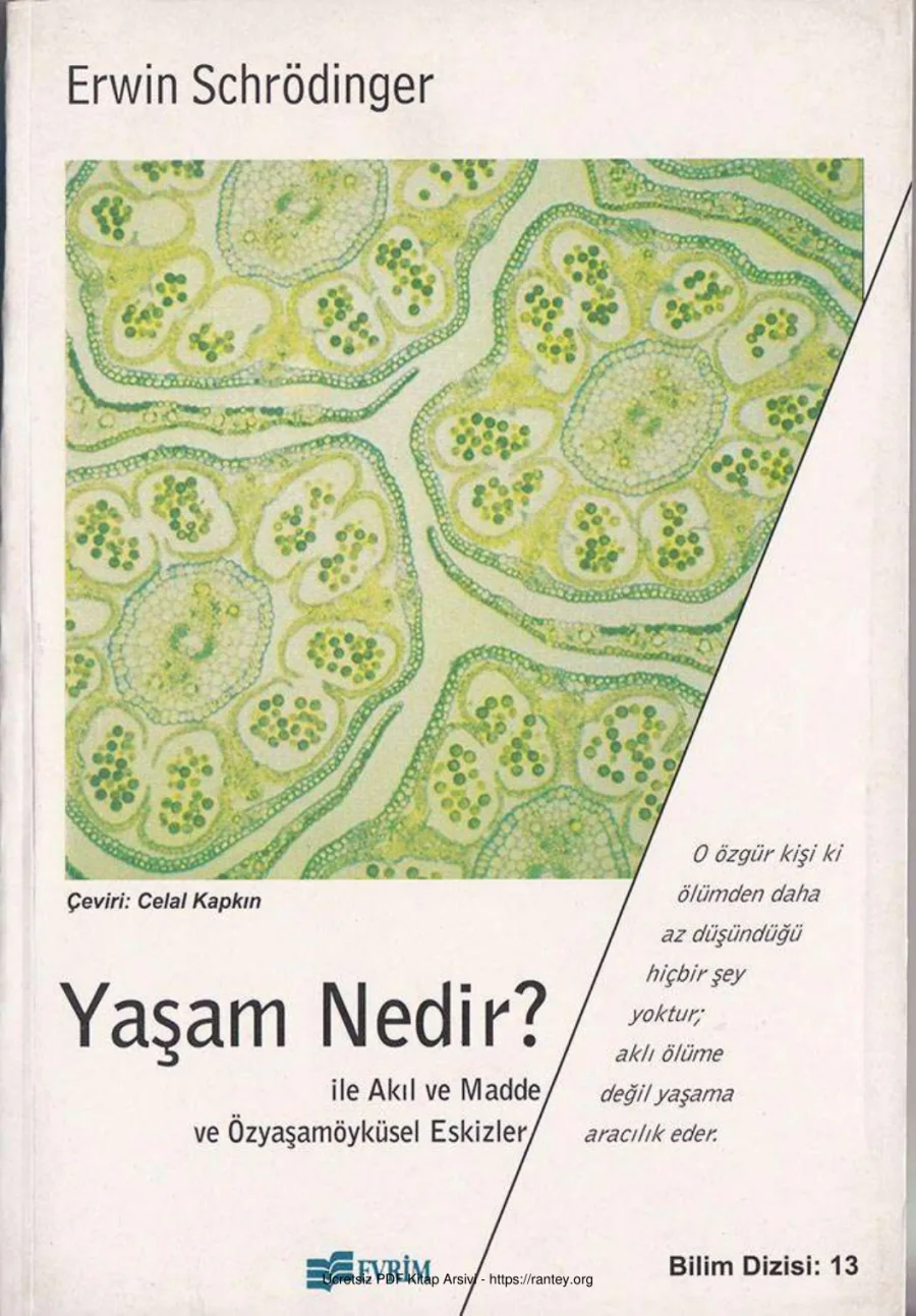 Yaşam Nedir kapak görseli