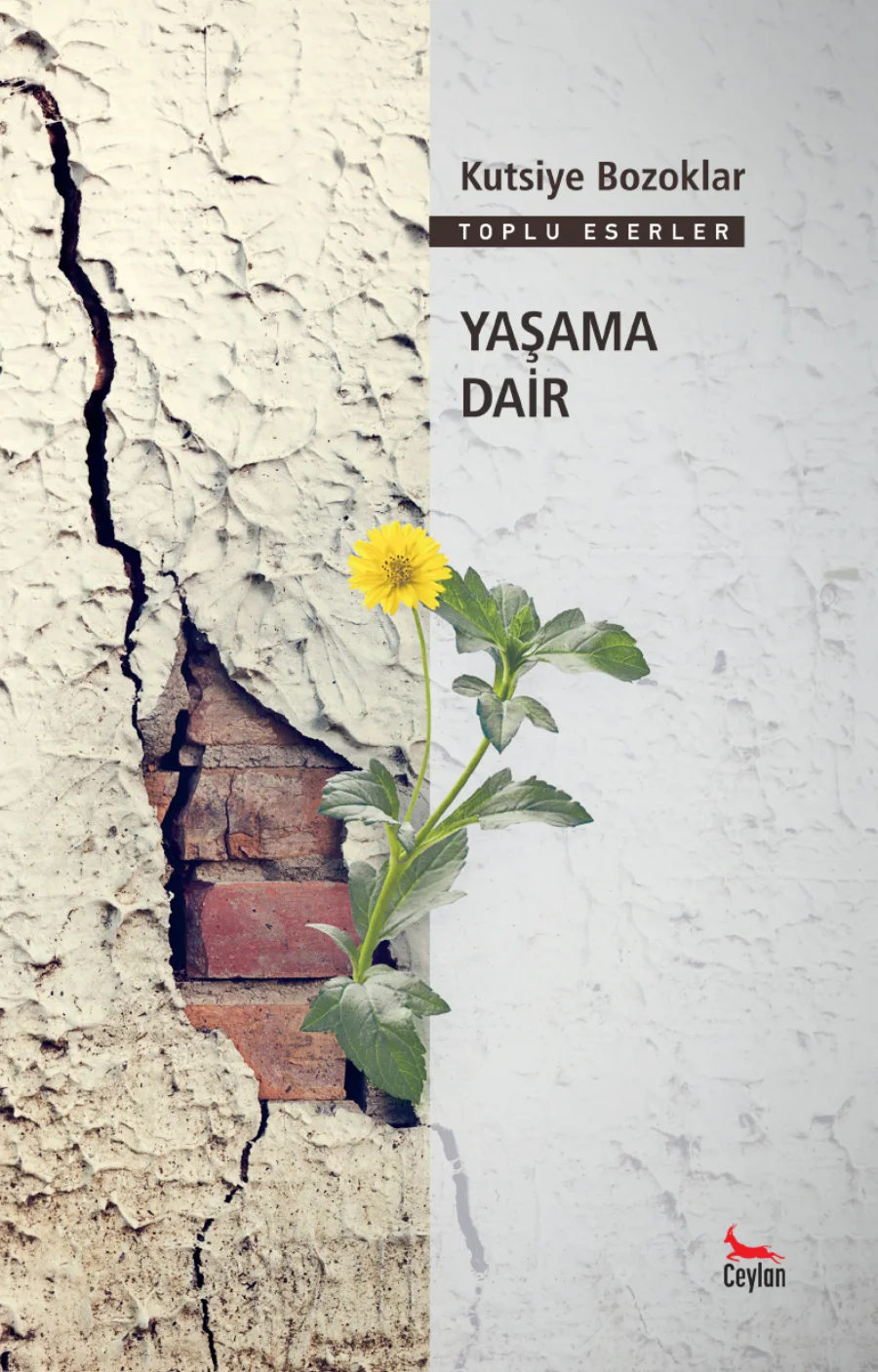 Yaşama Dair kapak görseli