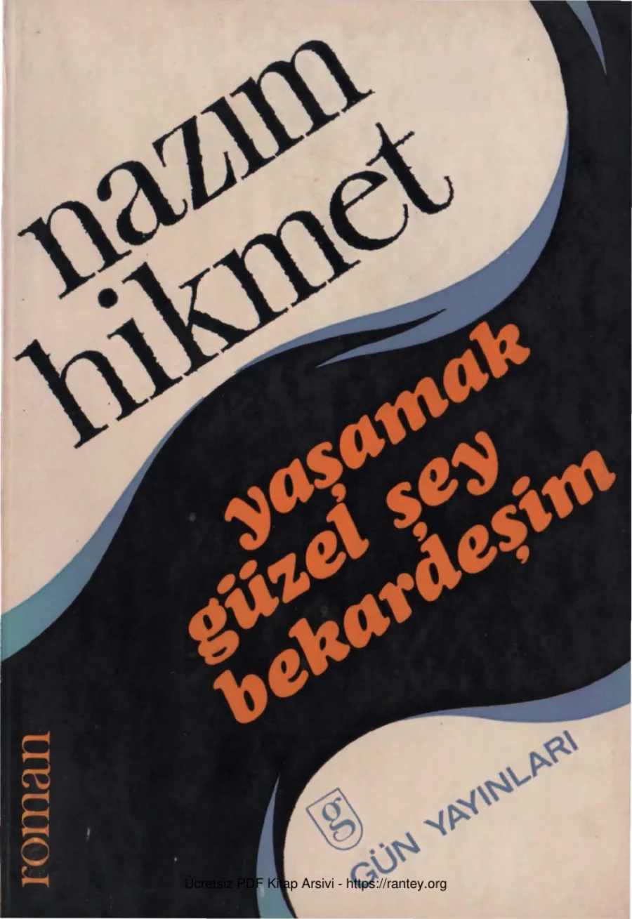 Yaşamak Güzel Şey Bekardeşim kapak görseli