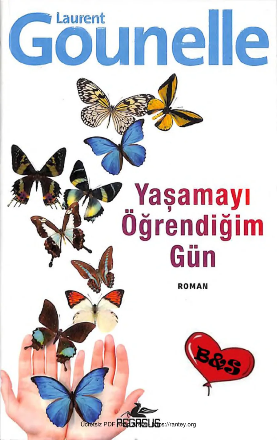 Yaşamayı Öğrendiğim Gün kapak görseli
