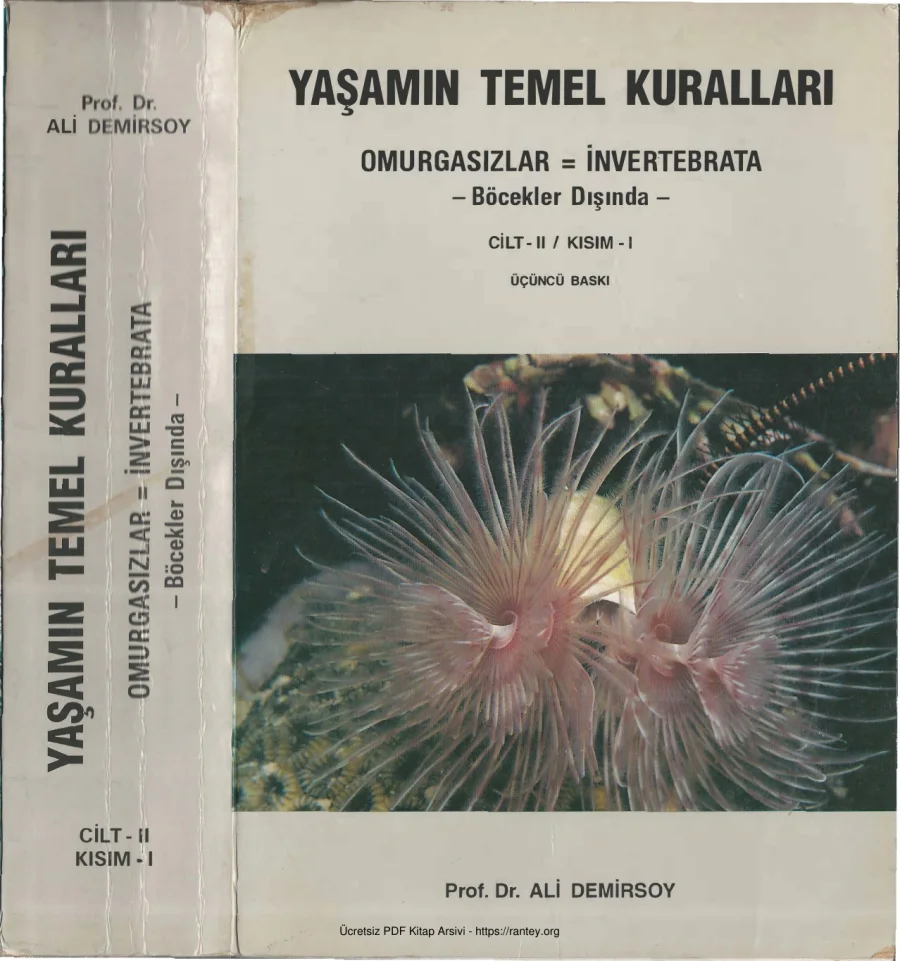 Yaşamın Temel Kuralları Cİlt II Kısım I kapak görseli