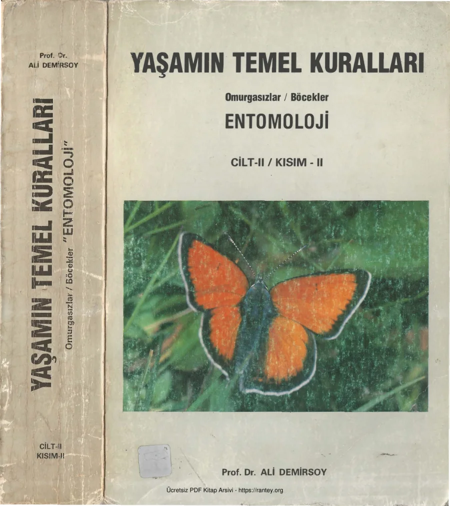 Yaşamın Temel Kuralları Cilt II Kısım II kapak görseli