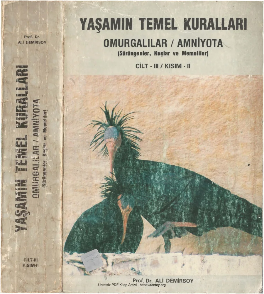 Yaşamın Temel Kuralları Cİlt III Kısım II kapak görseli