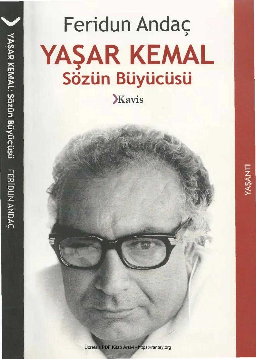 Yaşar Kemal Sözün Büyücüsü kapak görseli