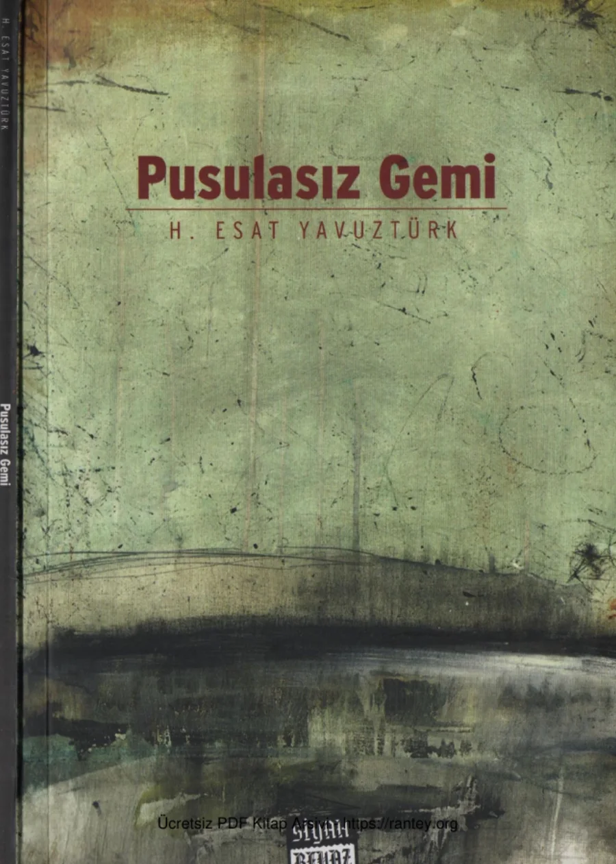 Yavuztürk Pusulasız Gemi kapak görseli