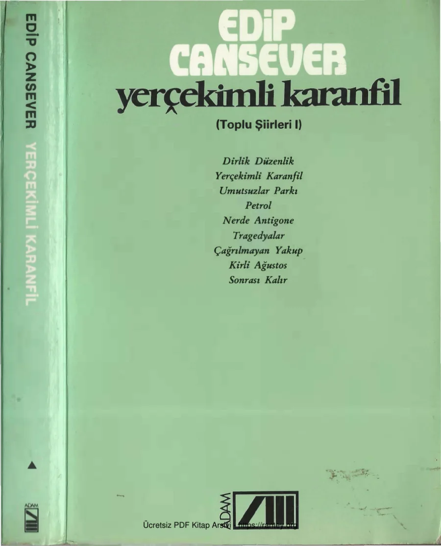 Yerçekimli Karanfil kapak görseli
