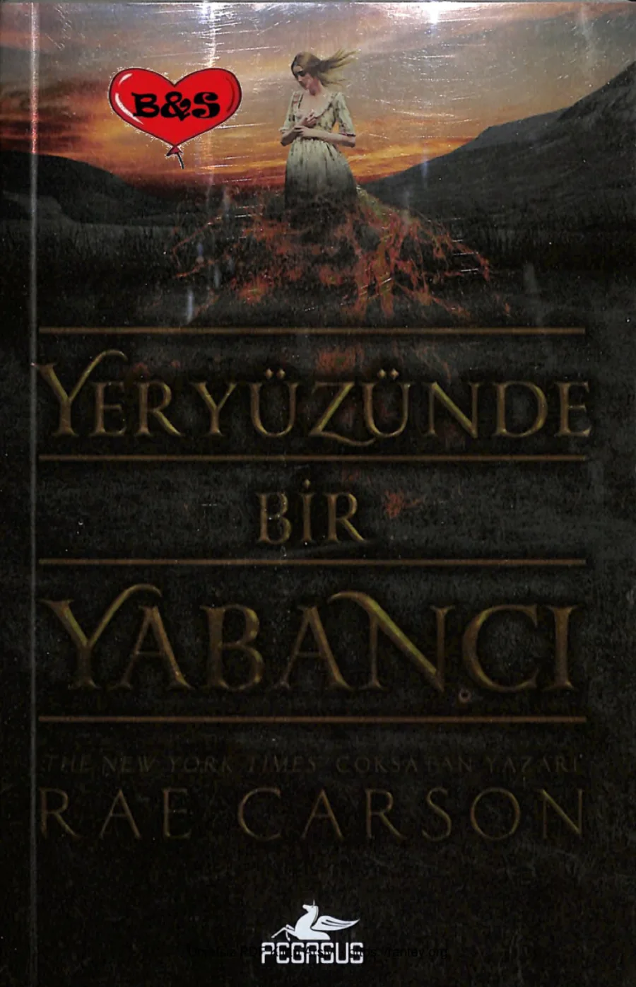 Yeryüzünde Bir Yabancı The Gold Seer Serisi 1 kapak görseli