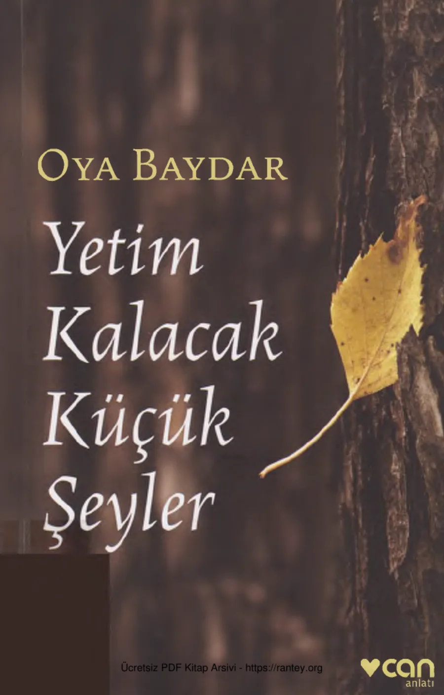 Yetim Kalacak Küçük Şeyler kapak görseli