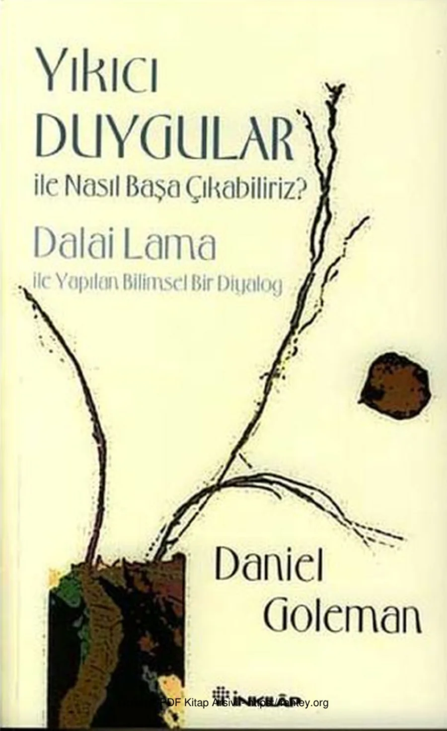 Yıkıcı Duygular ile Nasıl Başa Çıkabiliriz? kapak görseli