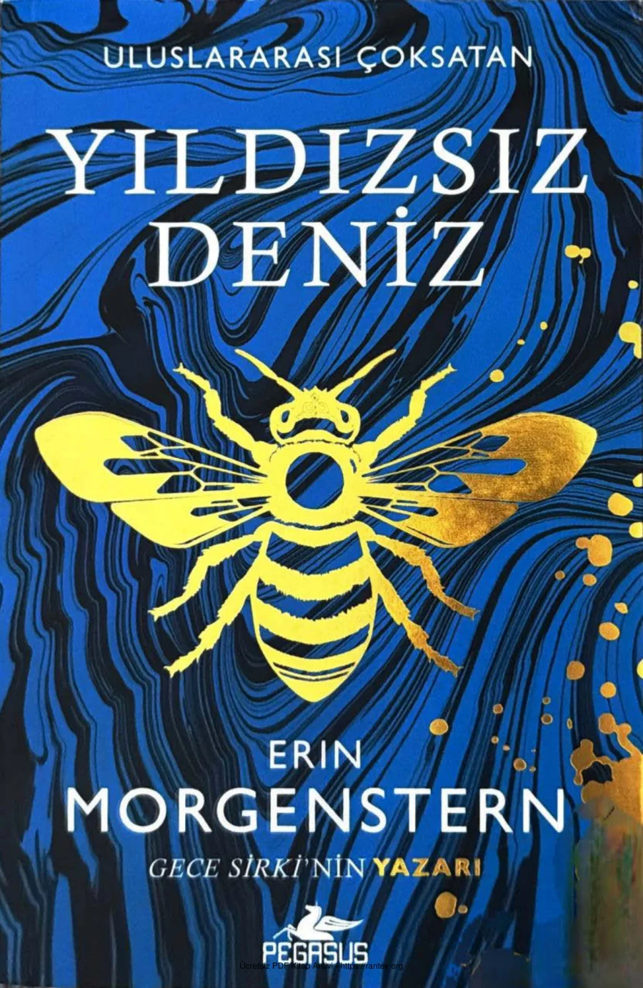 Yıldızsız Deniz kapak görseli