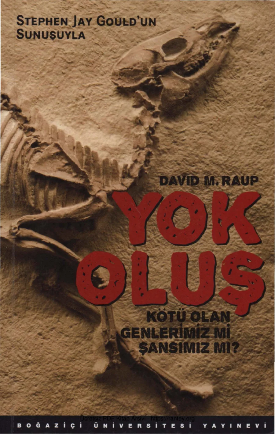Yok Oluş kapak görseli