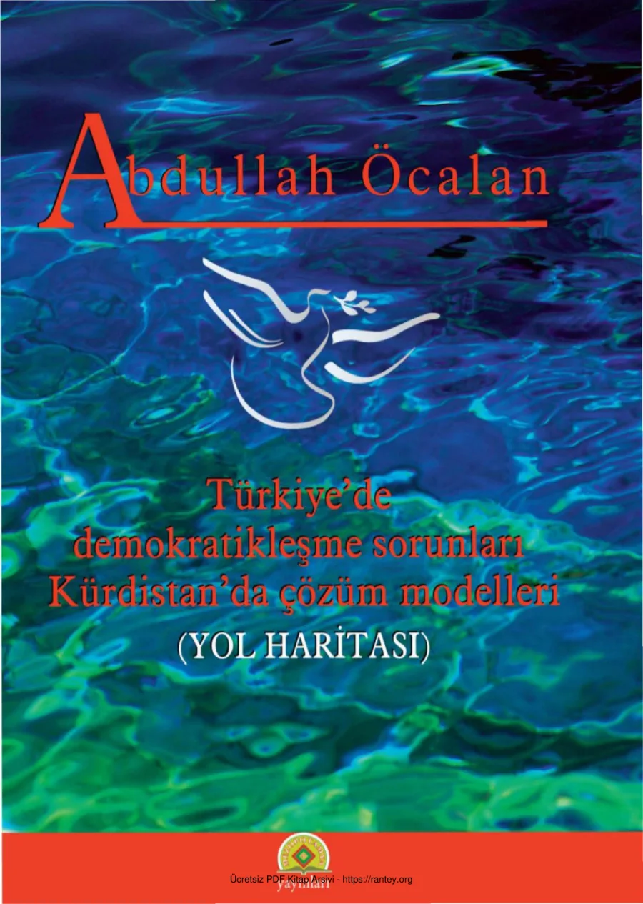 Yol Haritası kapak görseli