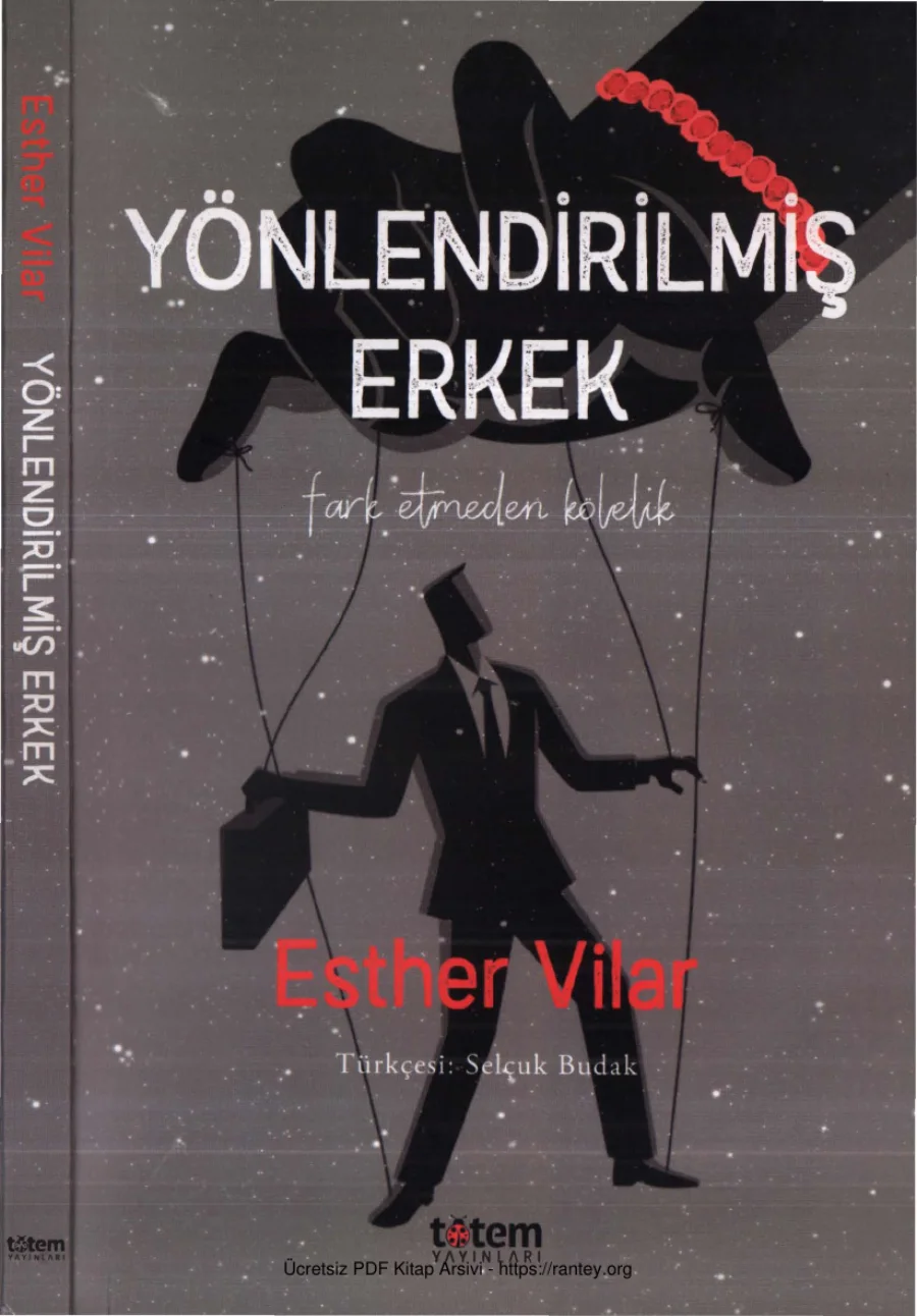 Yönlendirilmiş Erkek Totem Yayınları kapak görseli