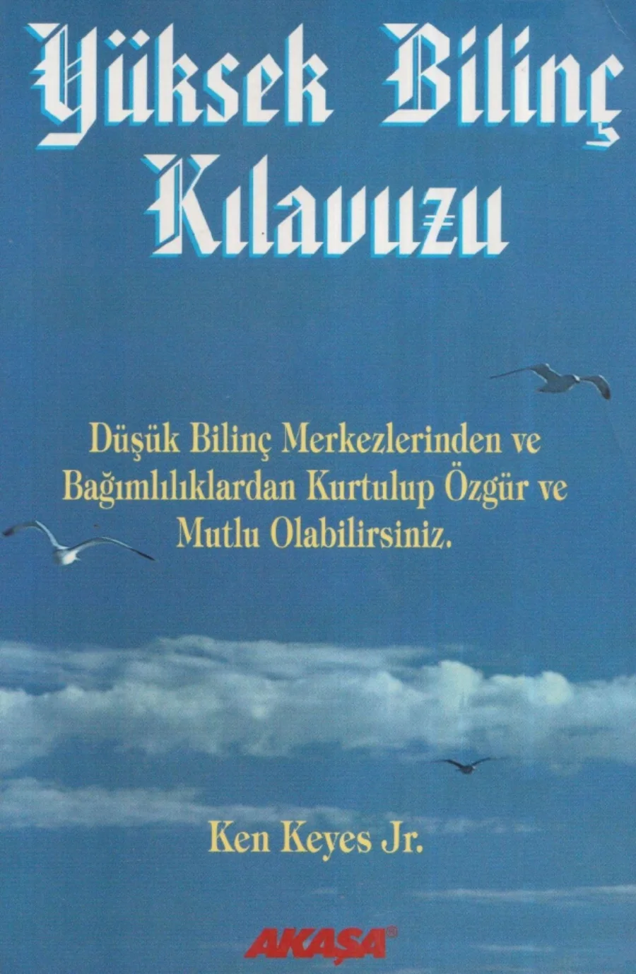 Yüksek Bilinç Kılavuzu kapak görseli