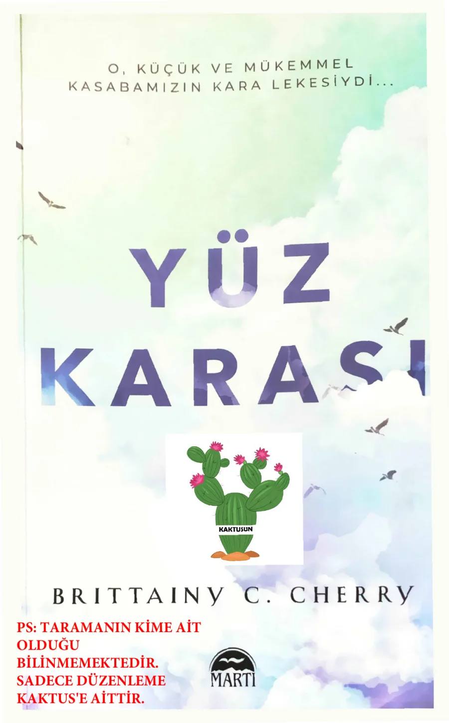 Yüz Karası kapak görseli