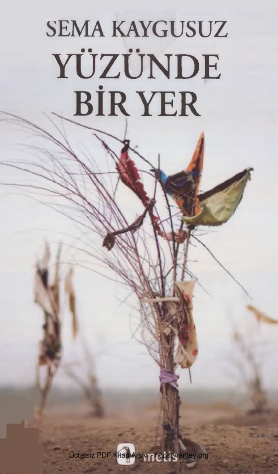 Yüzünde Bir Yer kapak görseli