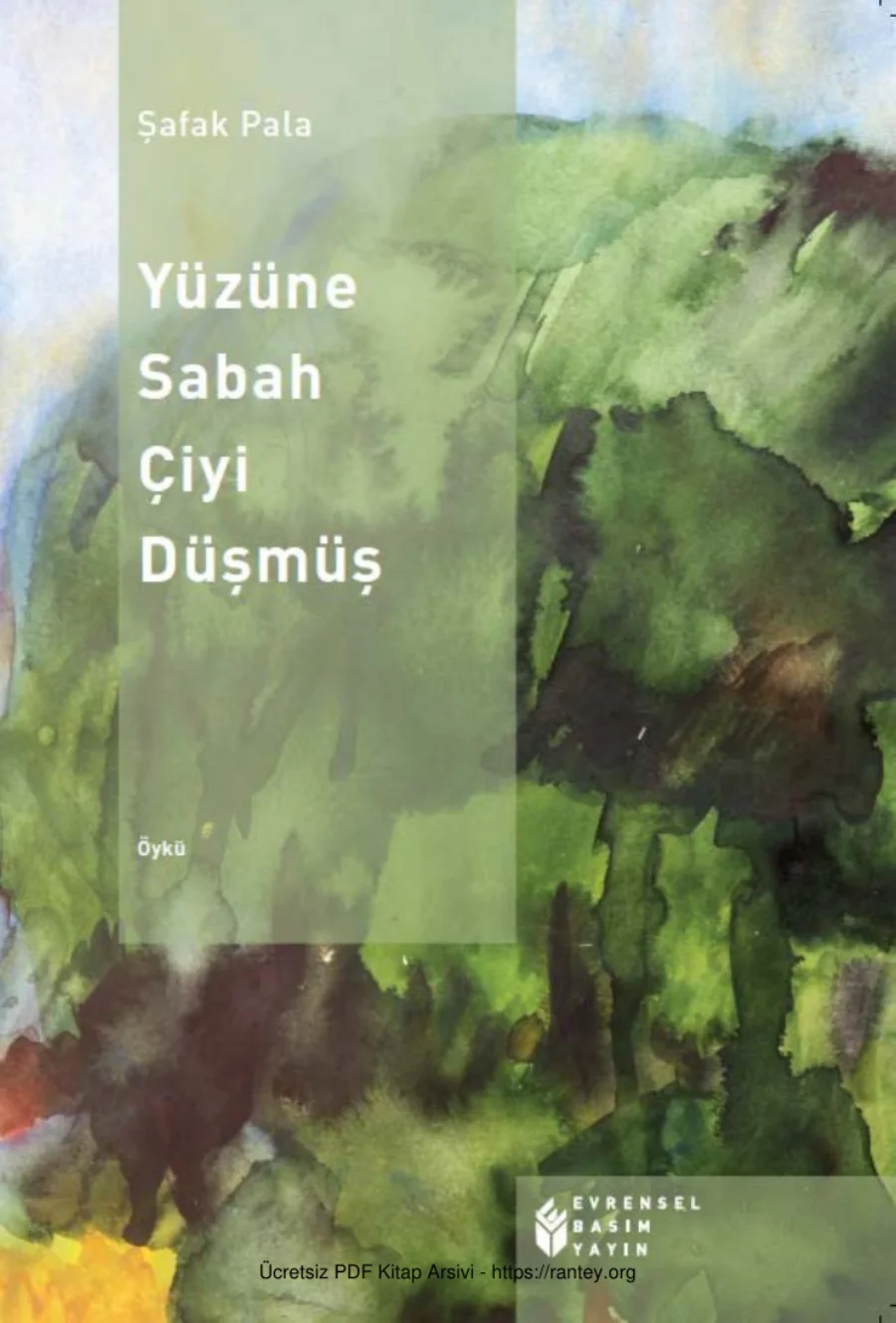 Yüzüne Sabah Çiyi Düşmüş kapak görseli