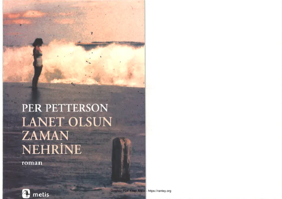 Zaman Nehrine Per Petterson kapak görseli