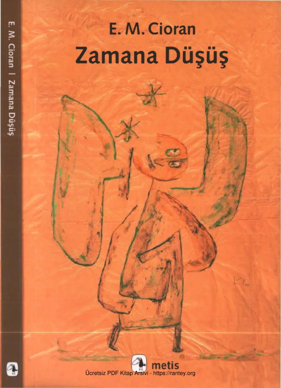 Zamana Düşüş kapak görseli