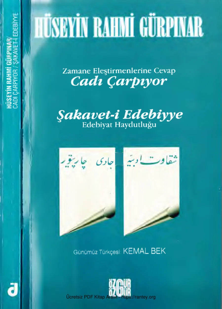Zamane Eleştirmenlerine Cevap Edebiyat Haydutluğu kapak görseli