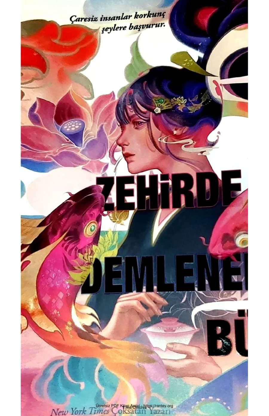 Zehirde Demlenen Büyü Judy I Lin kapak görseli