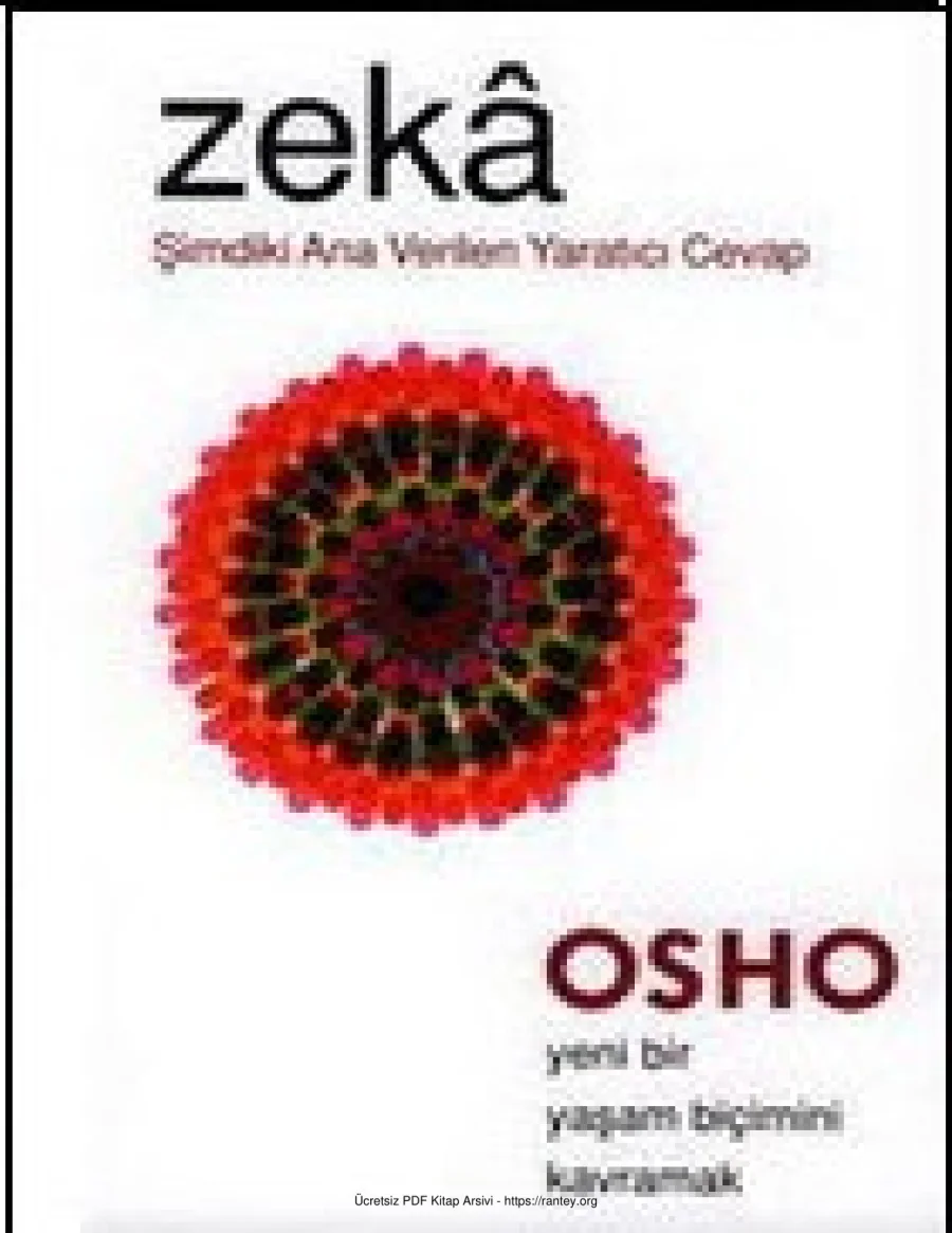 Zeka Şimdiki Ana Verilen Yaratıcı Cevap kapak görseli