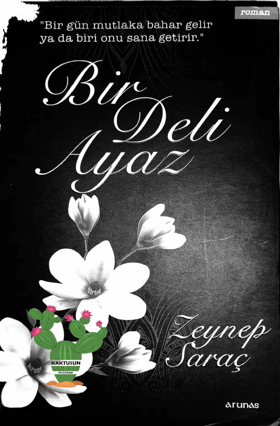 Zeynep Sarac Bir Deli Ayaz kapak görseli