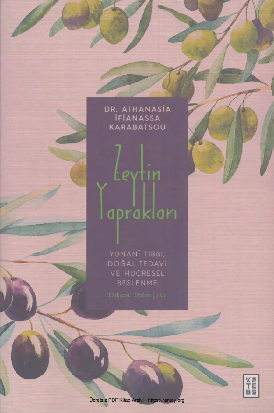 Zeytin Yaprakları Yunani Tıbbi Doğal Tedavi Hücresel Besleme kapak görseli