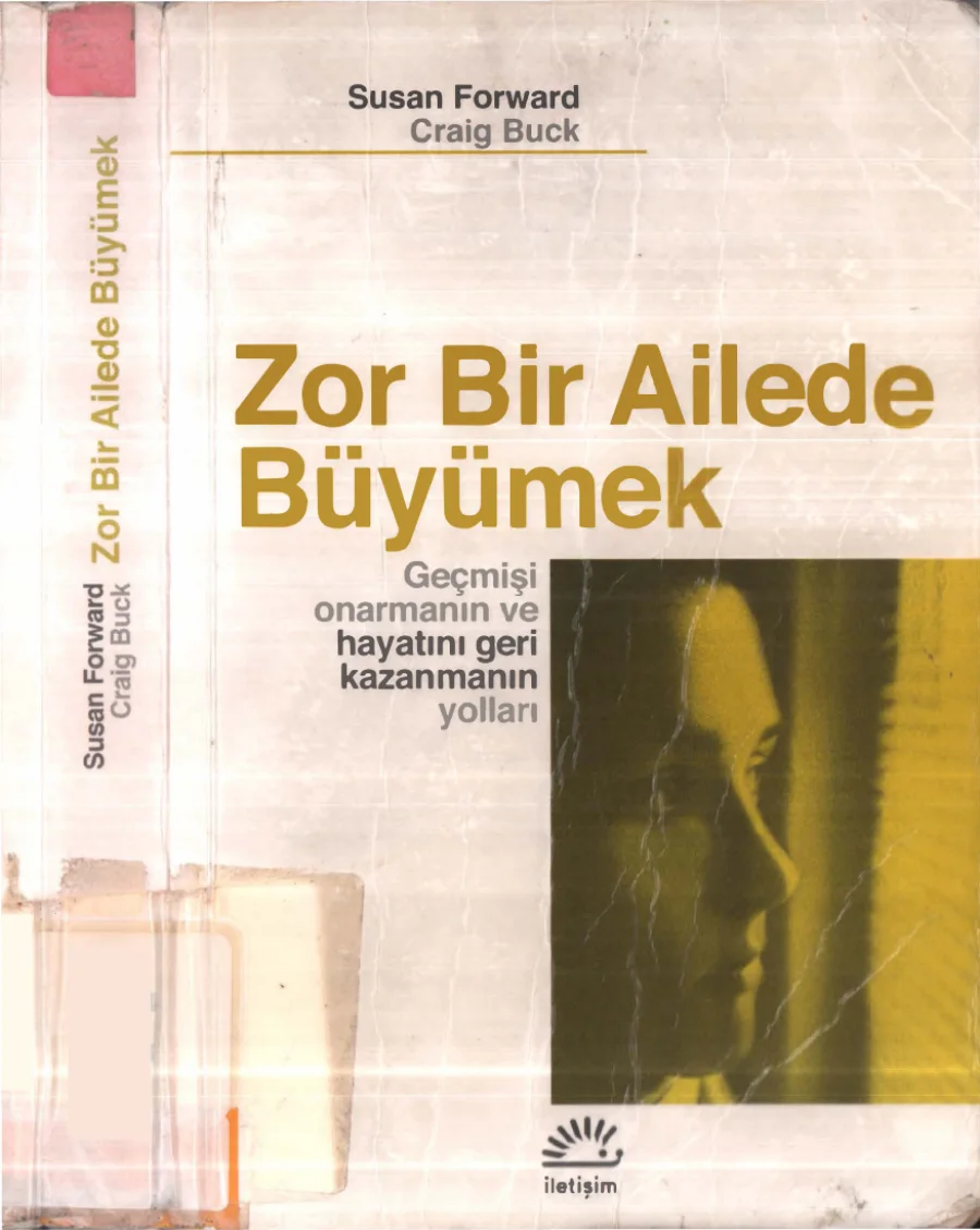 Zor Bir Ailede Büyümek kitap kapağı