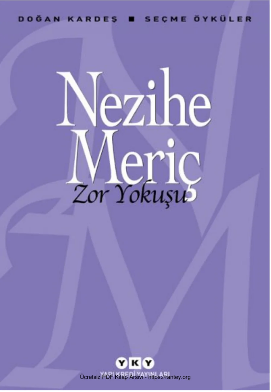 Zor Yokuşu kapak görseli